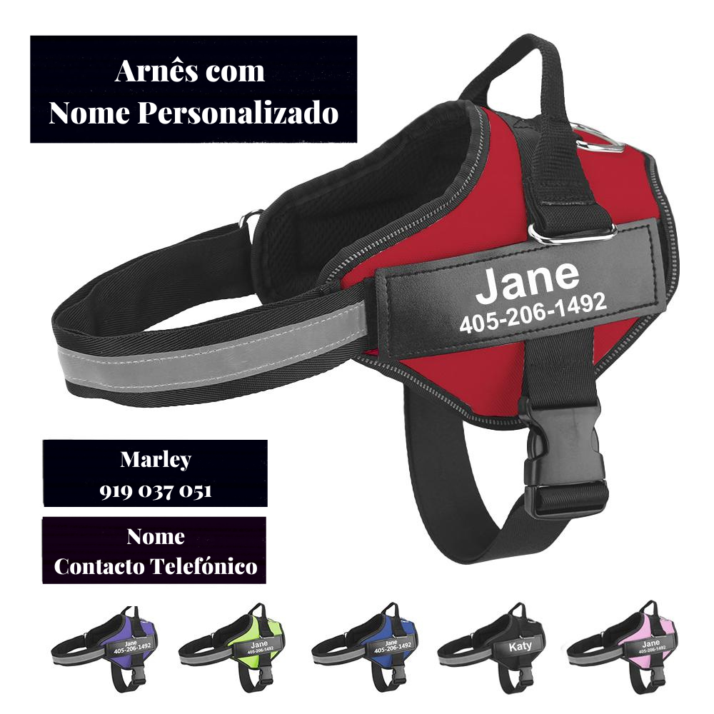 Arnês Liberty™